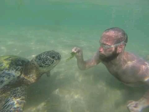 Sunset Surfing Beach Resort Matara Esterno foto